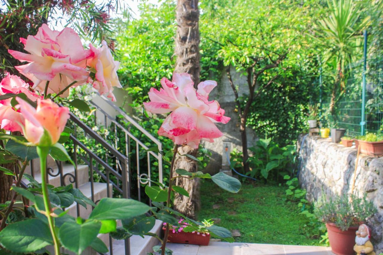 Sunny Bay Apartments Котор Экстерьер фото
